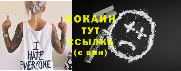 гашик Лагань