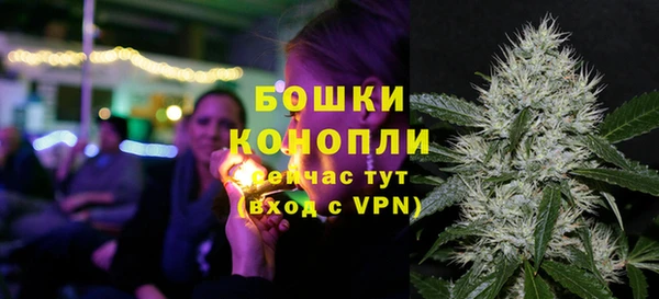 гашик Лагань