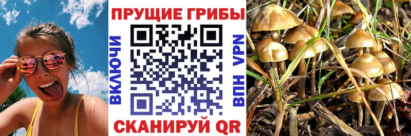 Галлюциногенные грибы MAGIC MUSHROOMS  хочу   Пикалёво 